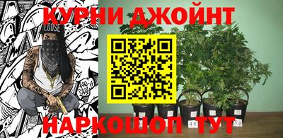 крисы Гусиноозёрск