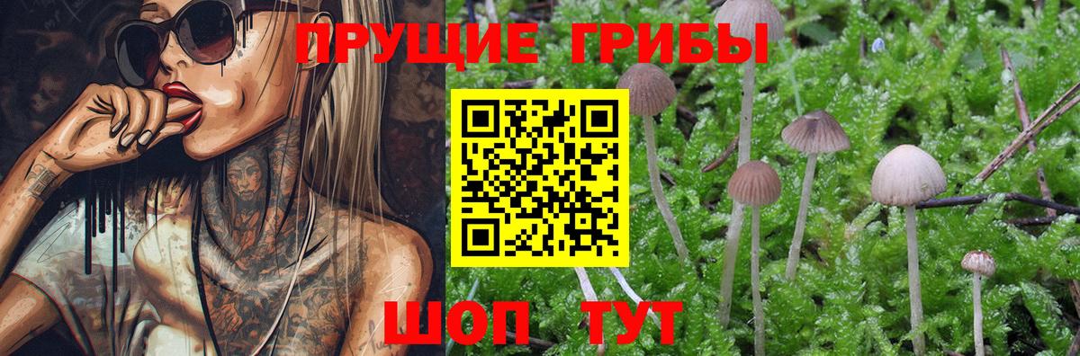 Псилоцибиновые грибы MAGIC MUSHROOMS  Галлюциногенные грибы MAGIC MUSHROOMS  Михайловск  Вход с VPN 